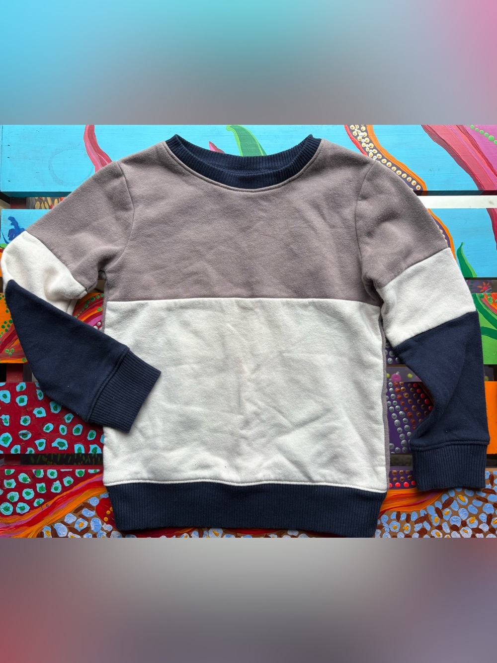 The Children’s Place Colorblock Crewneck Sweatshirt Size 4T